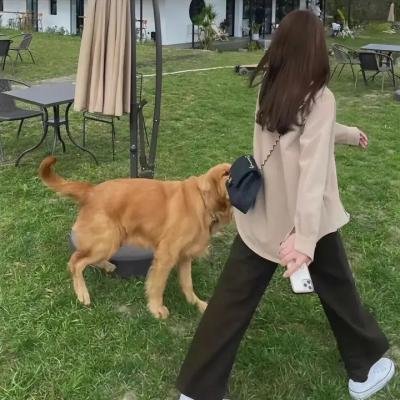 迷失之地